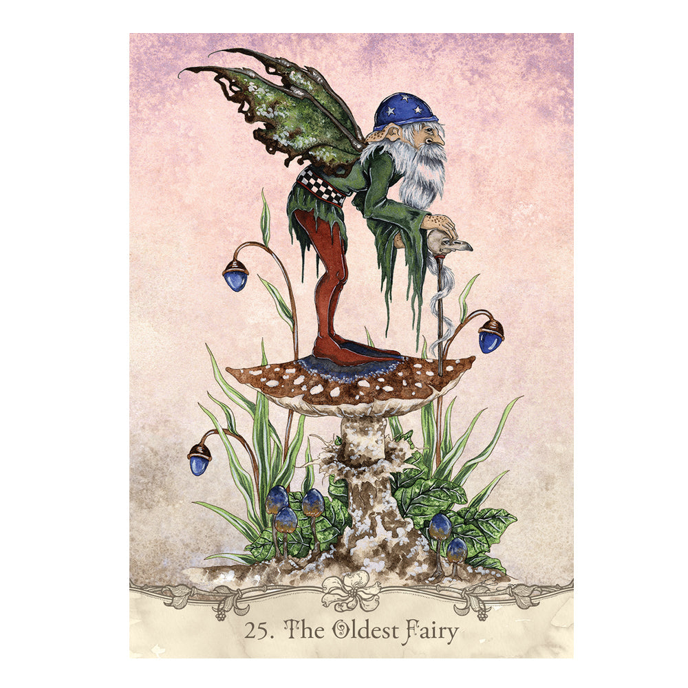 Fairy Wisdom Oracle Deck and Book Set