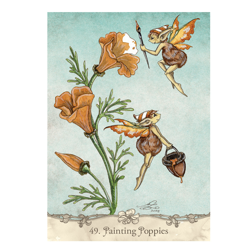 Fairy Wisdom Oracle Deck and Book Set